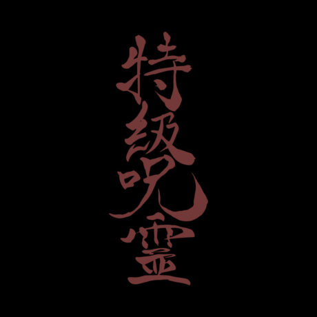 Jujutsu Kaisen T-Shirt, Special Grade Cursed Spirit - Image 2