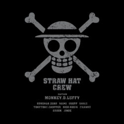 One Piece Back Art Preview