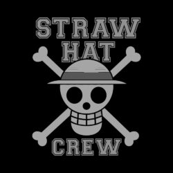 Straw Hat Crew Front Art Preview Straw Hat Crew Front Art Preview