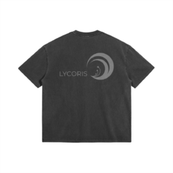 Lycoris 285GSM Faded Wash T Shirt Back Lycoris 285GSM Faded Wash T Shirt Back