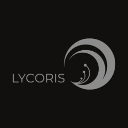 Lycoris Back Art Preview Lycoris Back Art Preview