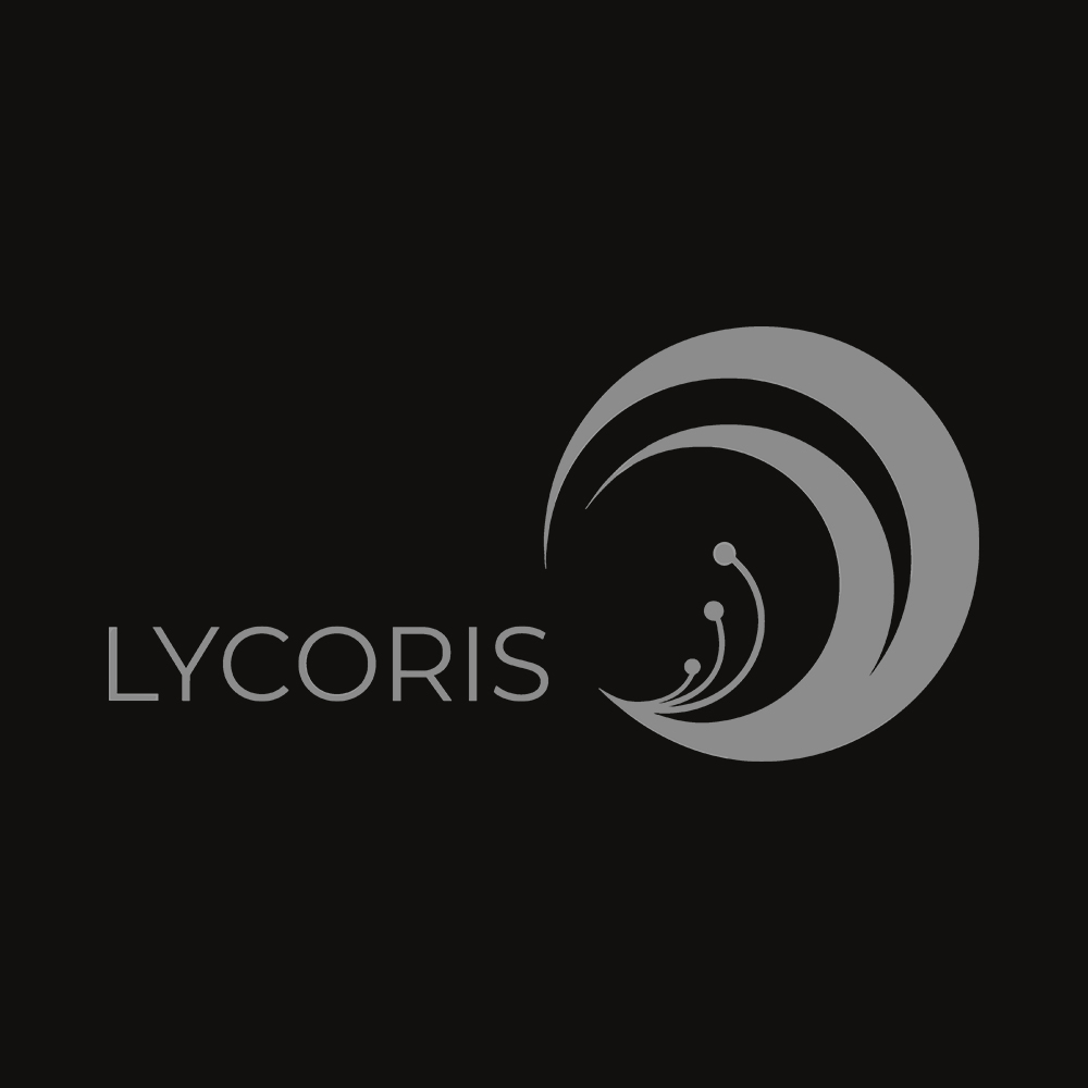 Lycoris Back Art Preview Lycoris Recoil - 285gsm Faded Wash T-Shirt - Image 4
