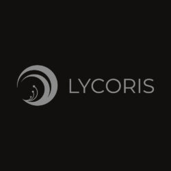 Lycoris Front Art Preview Lycoris Front Art Preview