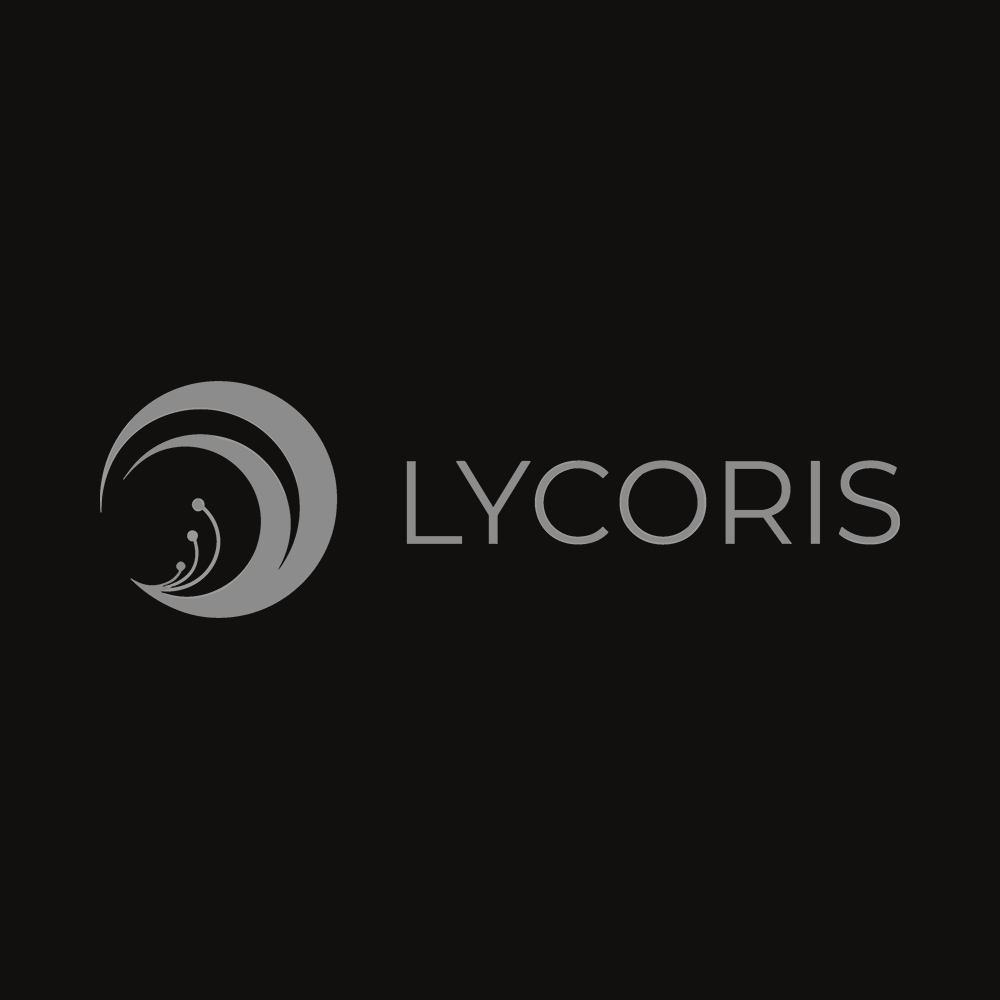 Lycoris Front Art Preview Lycoris Recoil - 285gsm Faded Wash T-Shirt - Image 3
