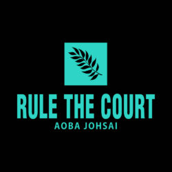 Alternative view of Rule the Court - Sweatshirt