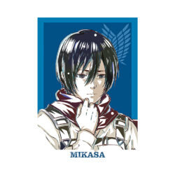 Alternative view of AoT Mikasa T-Shirt