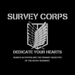 Alternative view of Survey Corps - 285gsm Faded Wash T-Shirt